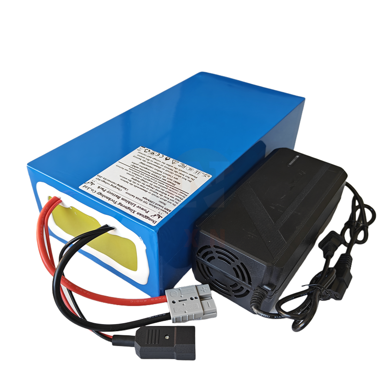 Pack de batteries lithium-ion  - 72V 40Ah Lifepo4 Battery Pack avis et prix