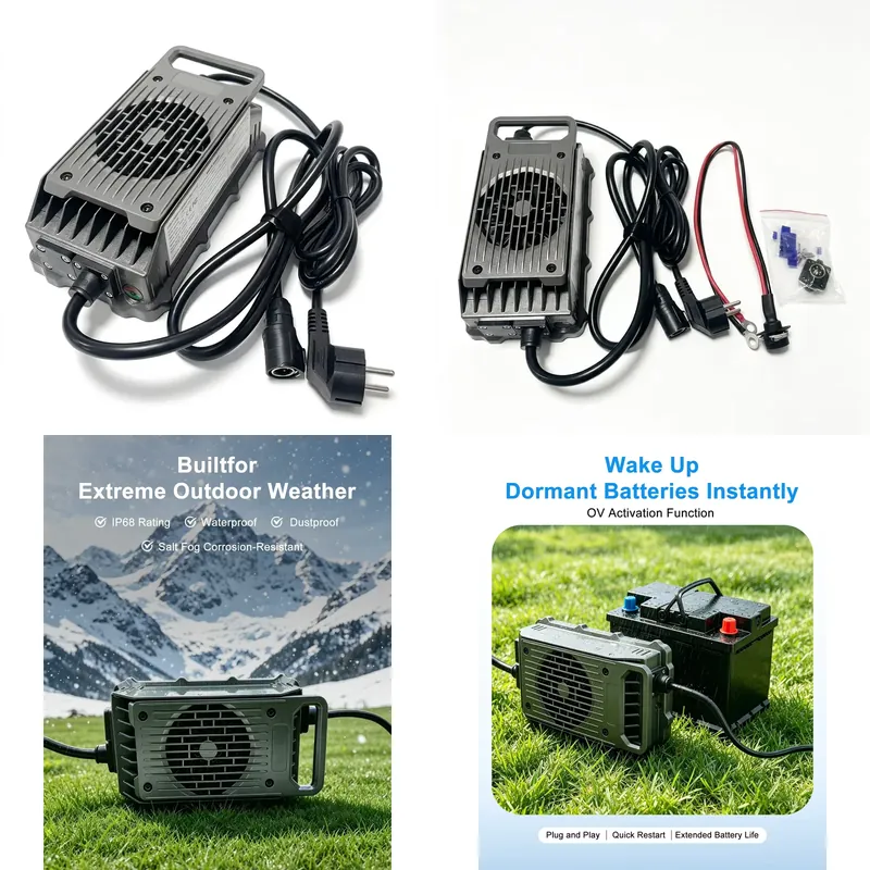 Chargeur de planche à surf éle - 84V 20A Smart Charger avis et prix